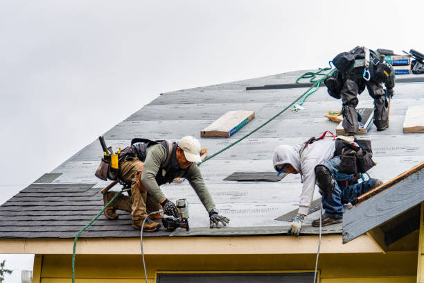 Professional Gutter Installation technician working in Blair, SC